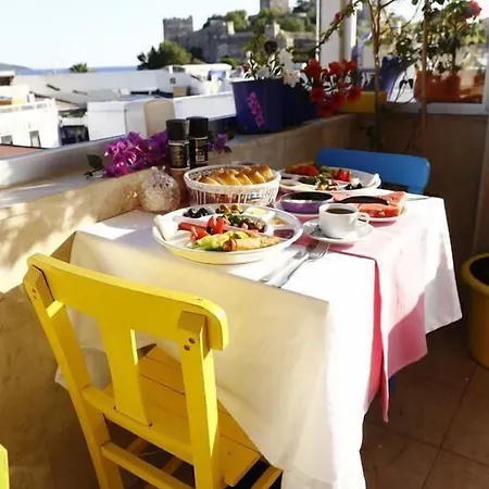 캔 호텔 2* Bodrum