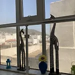 Can Hotel Hotel Bodrum