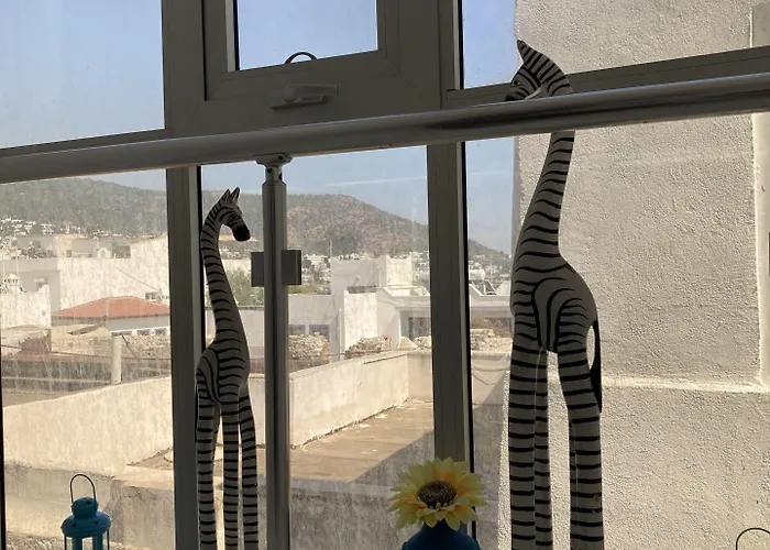 Can Hotel מלון בודרום